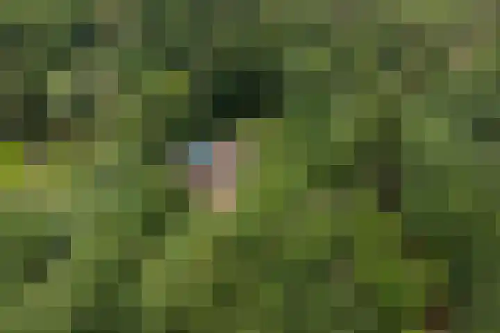 Arubalaan 11 Hilversum thumbnail 37