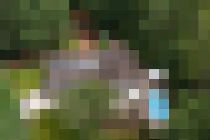 Arubalaan 11 Hilversum thumbnail 43