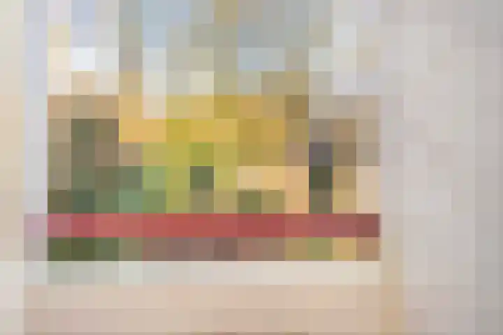 Arubalaan 12 B Amersfoort thumbnail 15