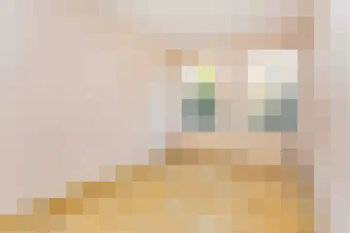 Arubalaan 12 B Amersfoort thumbnail 18