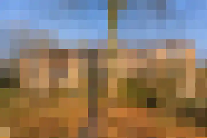 Arubalaan 12 B Amersfoort thumbnail 26