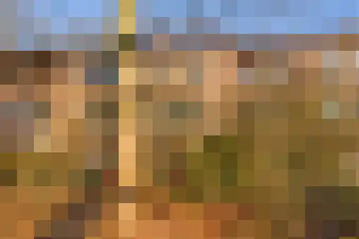 Arubalaan 12 B Amersfoort thumbnail 28
