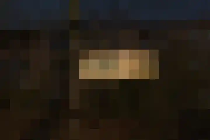 Arubalaan 12 B Amersfoort thumbnail 29
