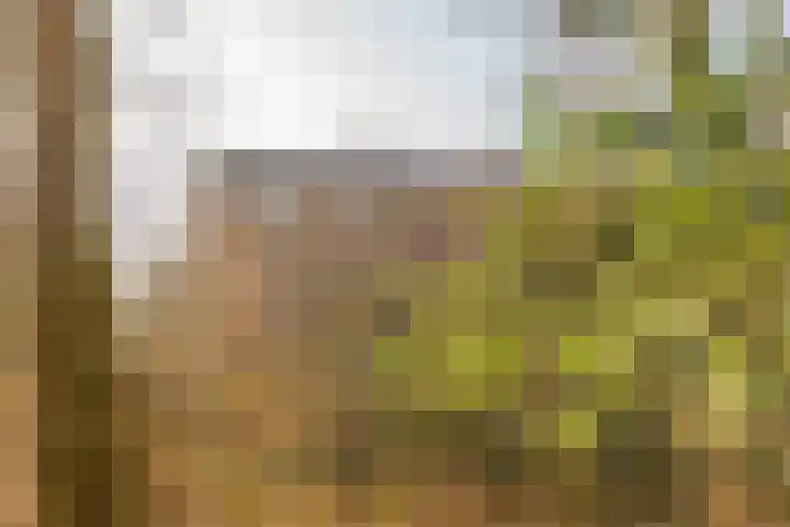Arubalaan 12 B Amersfoort thumbnail 30