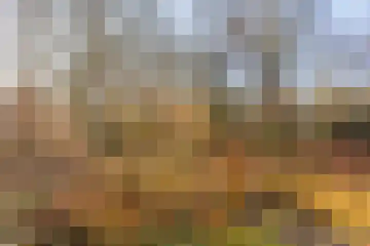 Arubalaan 12 B Amersfoort thumbnail 5