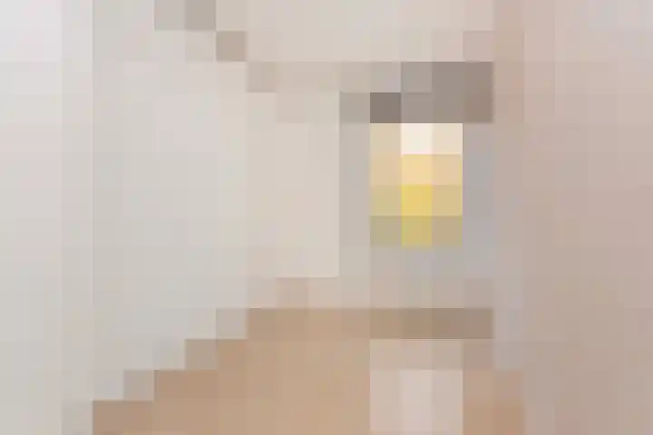 Arubalaan 42 B Amersfoort thumbnail 15