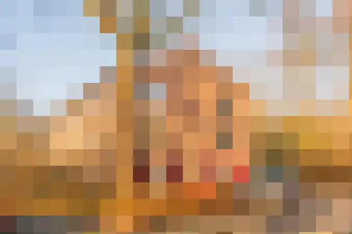 Arubalaan 42 B Amersfoort thumbnail 29