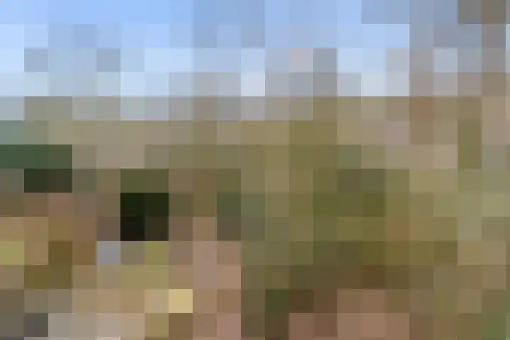 Arubalaan 42 C Amersfoort thumbnail 52