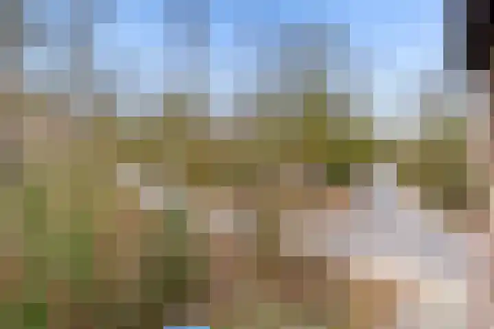 Arubalaan 42 C Amersfoort thumbnail 53
