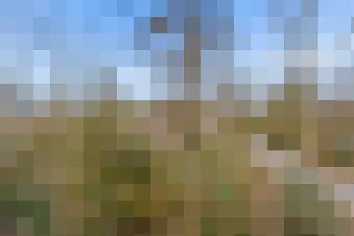 Arubalaan 42 C Amersfoort thumbnail 54