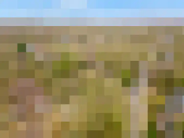 Arubalaan 42 C Amersfoort thumbnail 55