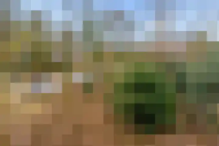 Arubalaan 42 C Amersfoort thumbnail 56