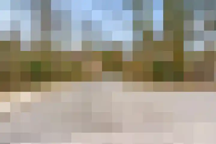 Arubalaan 42 C Amersfoort thumbnail 57