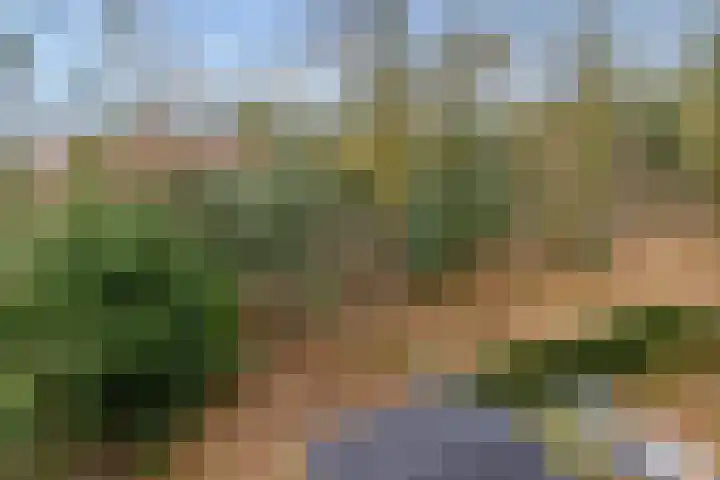Arubalaan 42 C Amersfoort thumbnail 58