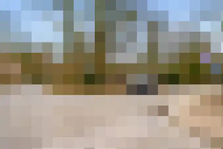 Arubalaan 42 C Amersfoort thumbnail 59
