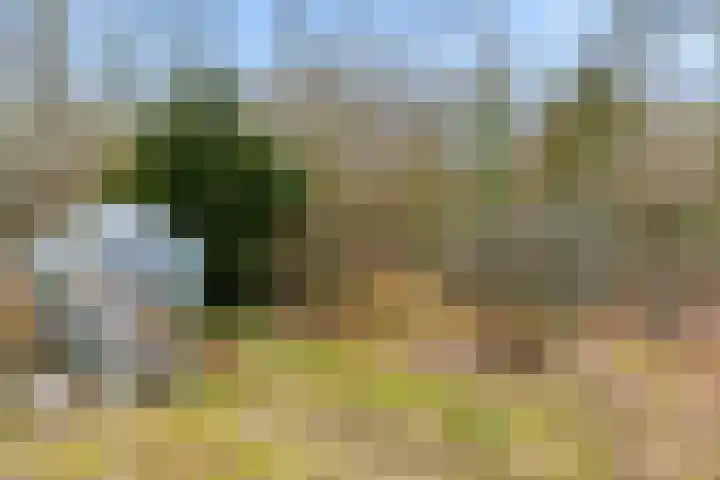 Arubalaan 42 C Amersfoort thumbnail 60