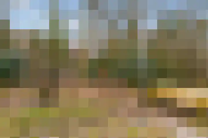 Arubalaan 42 C Amersfoort thumbnail 62