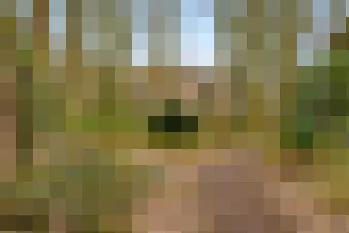 Arubalaan 42 C Amersfoort thumbnail 63