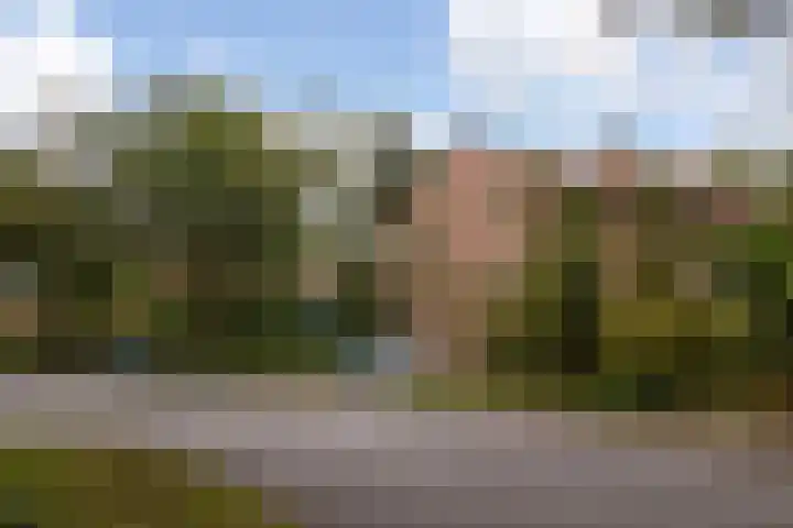 Arubalaan 42 C Amersfoort thumbnail 64