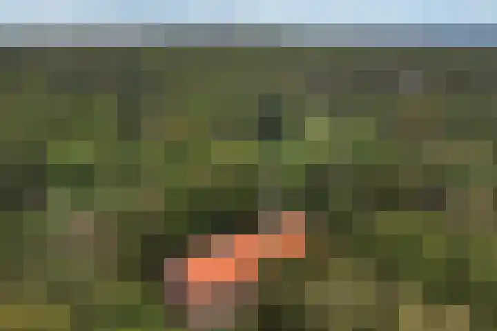 Arubalaan 42 C Amersfoort thumbnail 68