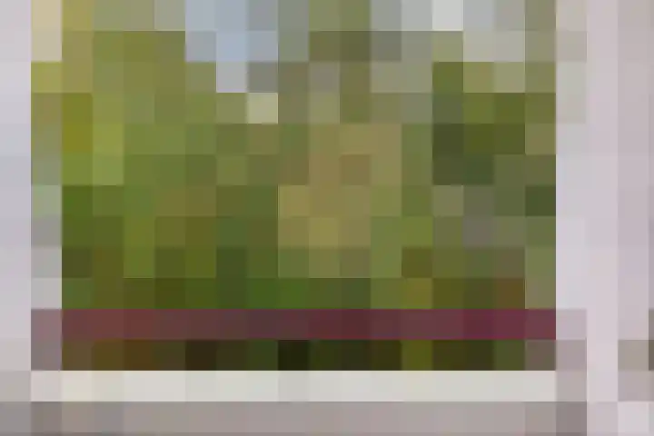 Arubalaan 42 C Amersfoort thumbnail 69