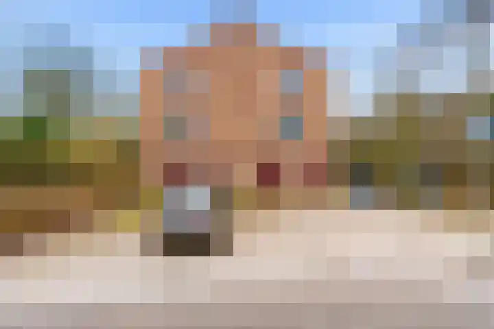 Arubalaan 42 C Amersfoort thumbnail 8