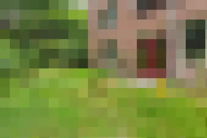 Arubalaan 48 A Amersfoort thumbnail 13