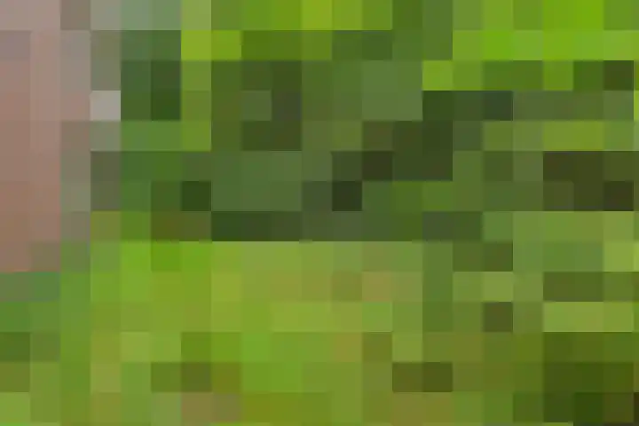Arubalaan 48 A Amersfoort thumbnail 18