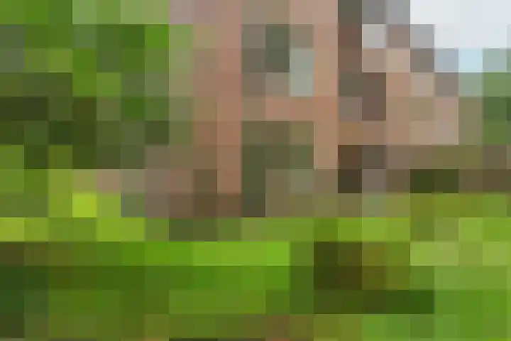 Arubalaan 48 A Amersfoort thumbnail 35