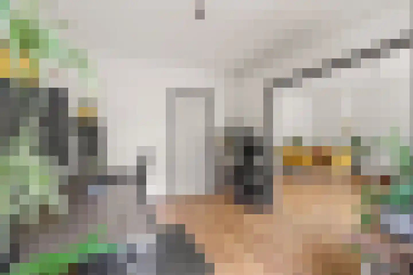 Arubalaan 62 C Amersfoort thumbnail 14