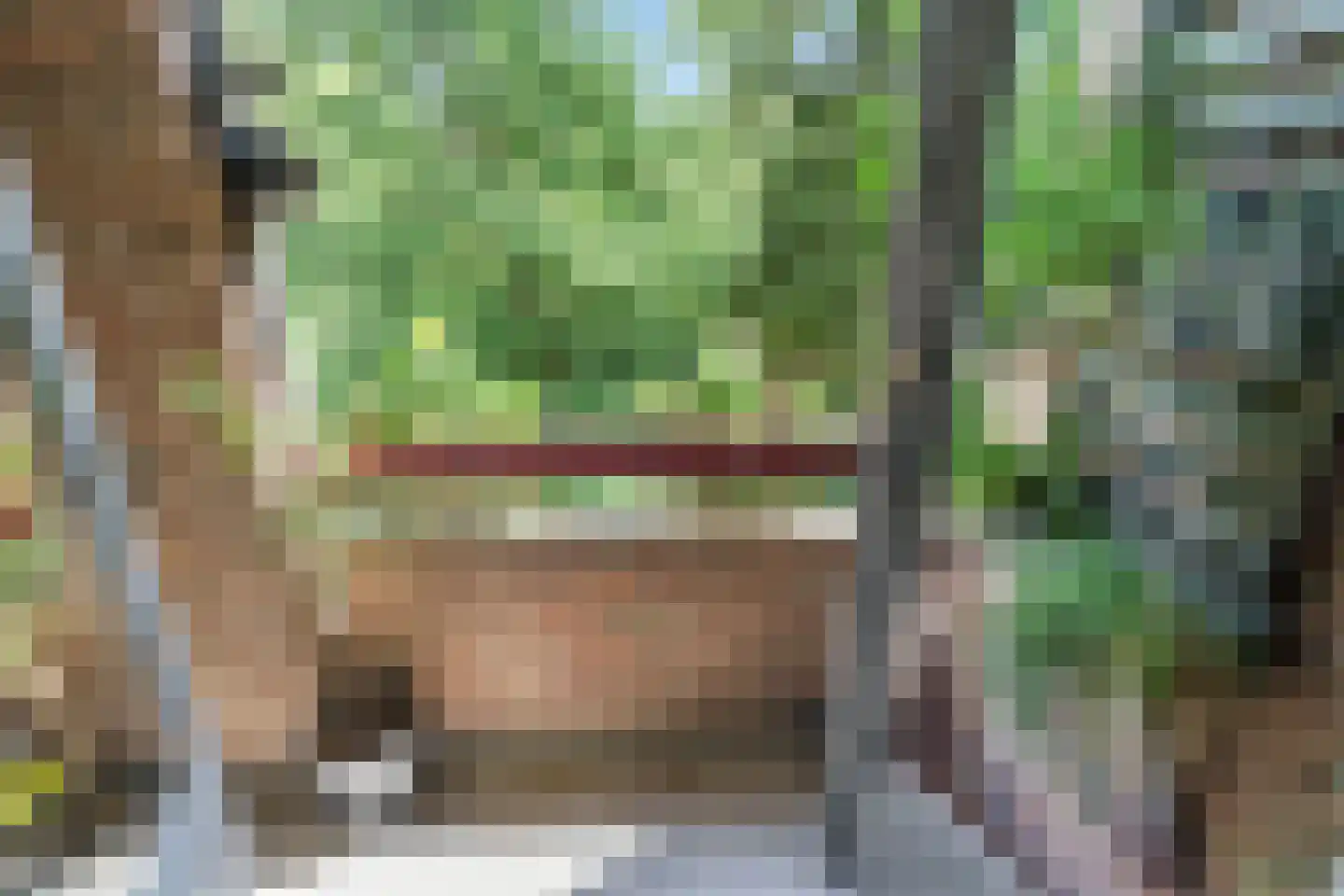 Arubalaan 62 C Amersfoort thumbnail 16
