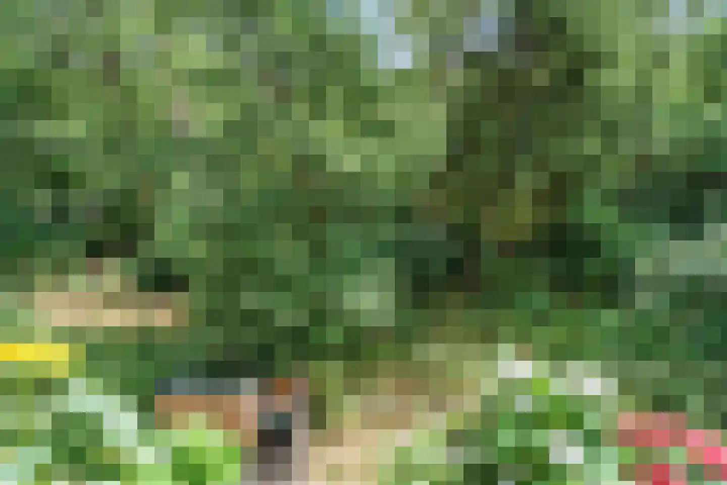 Arubalaan 62 C Amersfoort thumbnail 17