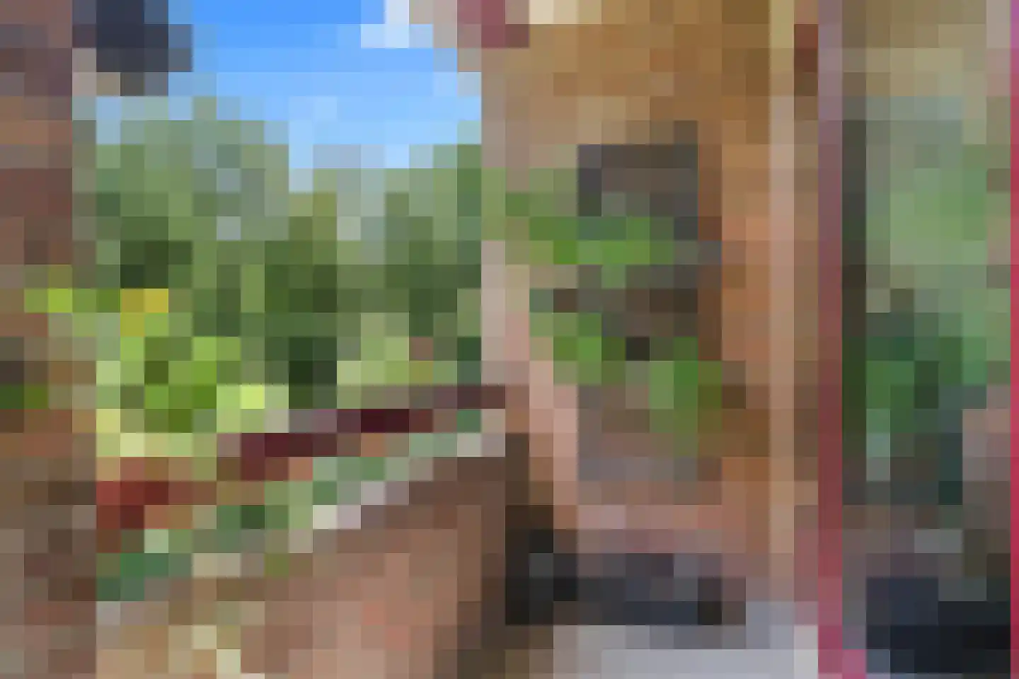 Arubalaan 62 C Amersfoort thumbnail 18