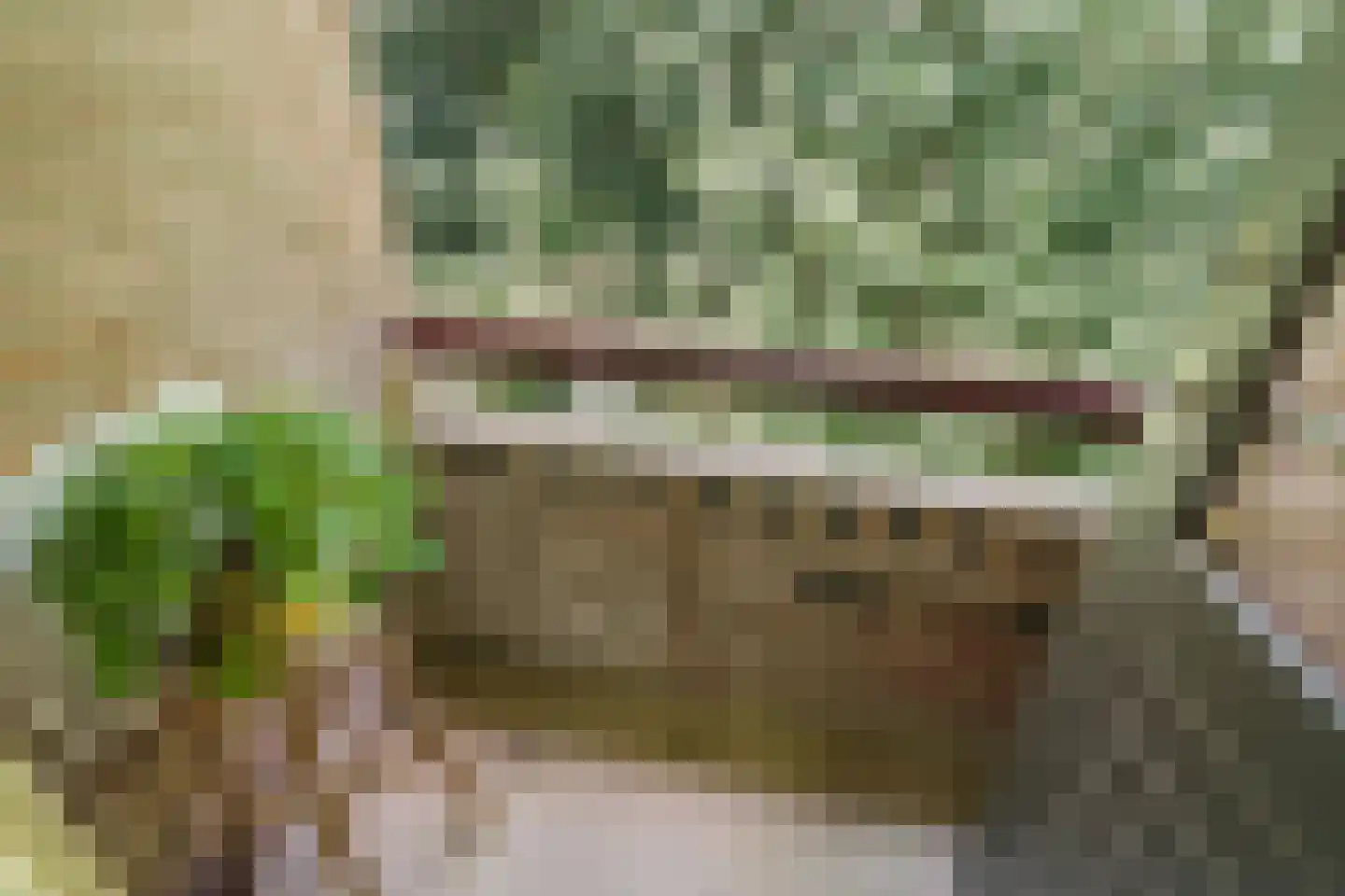 Arubalaan 62 C Amersfoort thumbnail 21