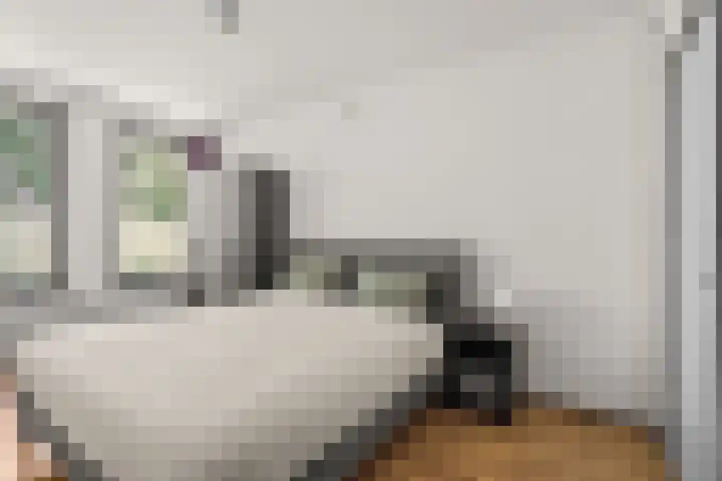 Arubalaan 62 C Amersfoort thumbnail 24