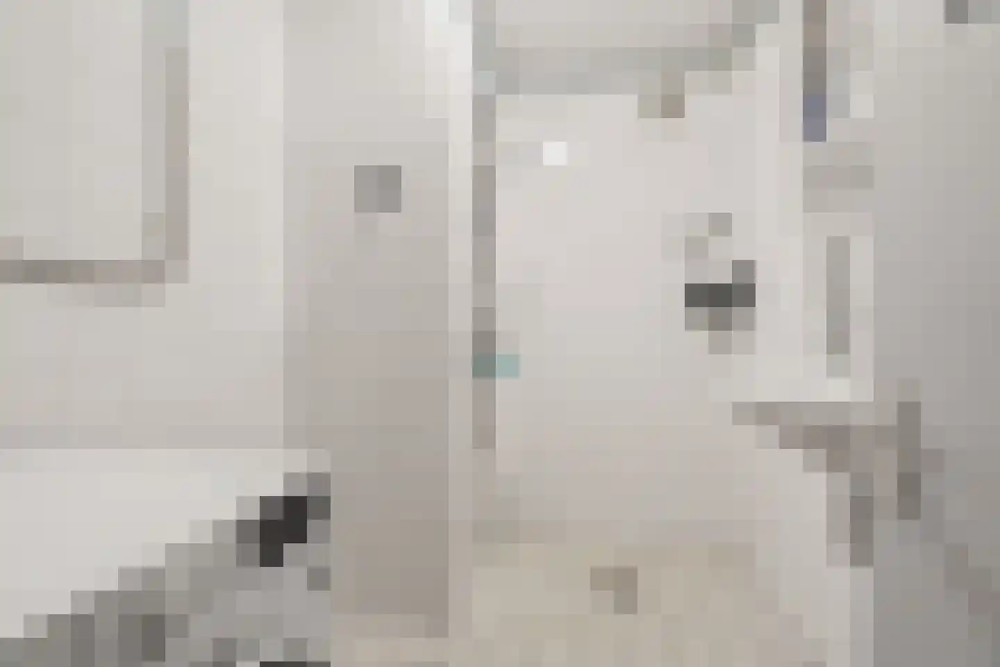 Arubalaan 62 C Amersfoort thumbnail 30