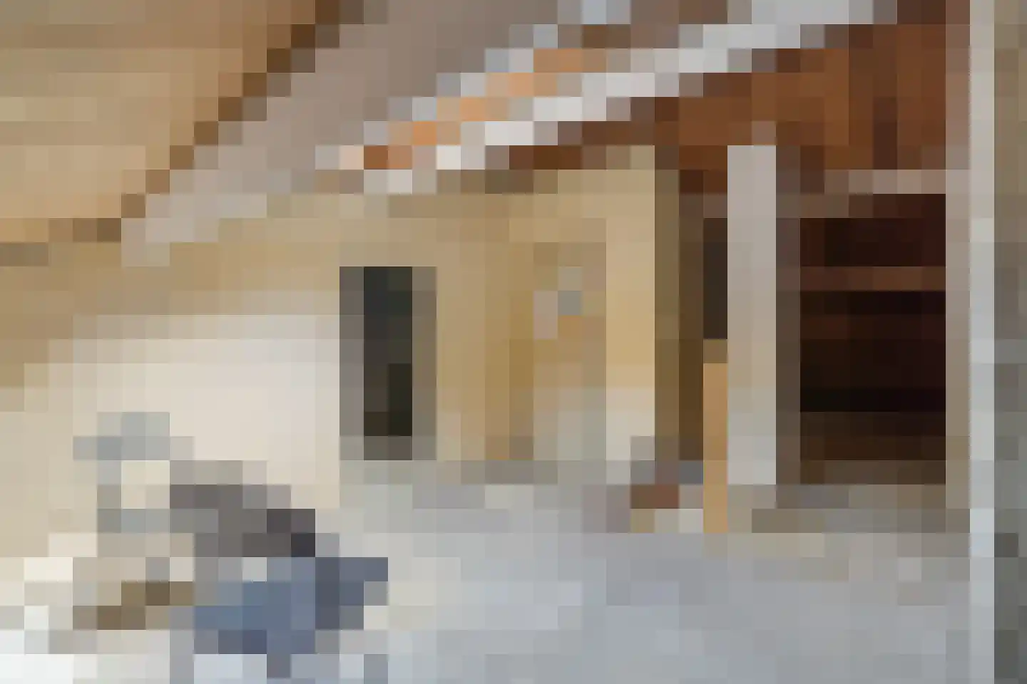 Arubalaan 62 C Amersfoort thumbnail 39