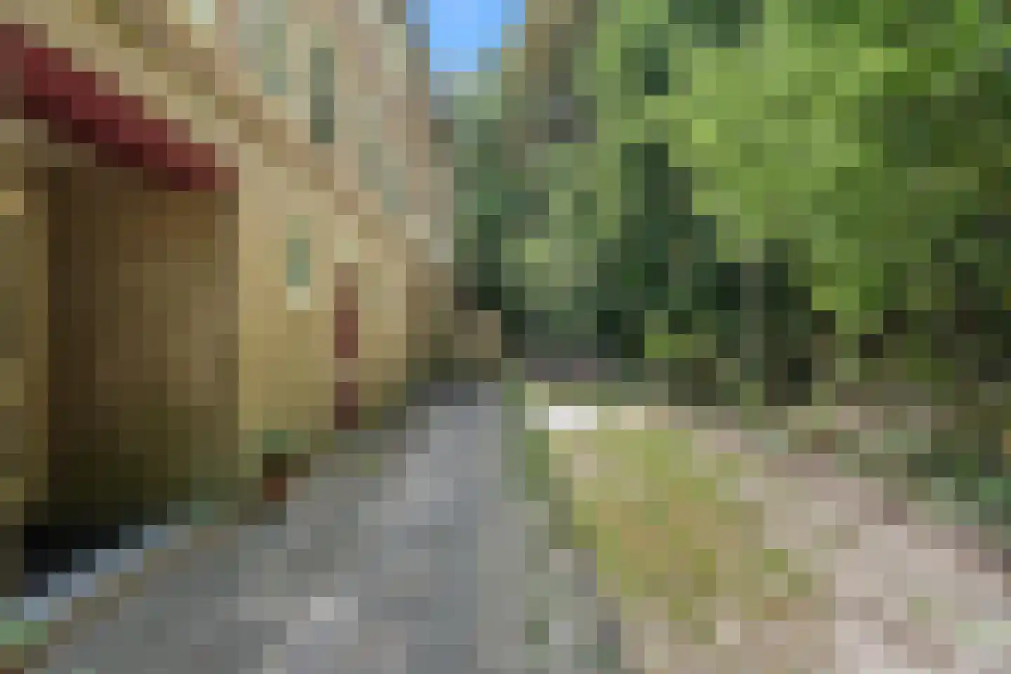 Arubalaan 62 C Amersfoort thumbnail 48