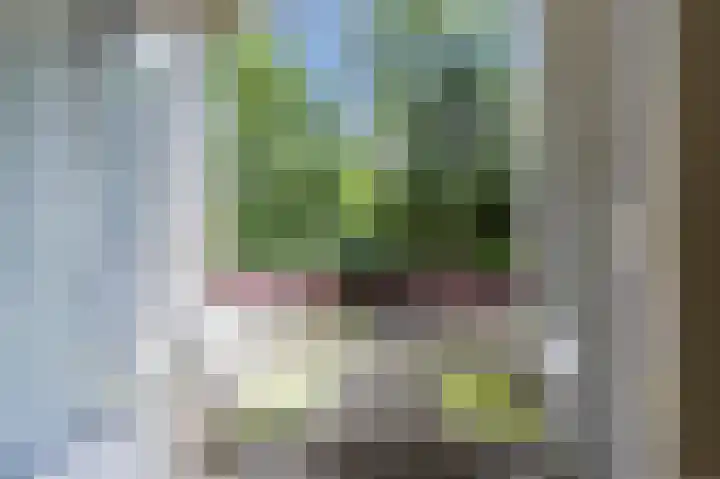 Arubalaan 64 B Amersfoort thumbnail 10