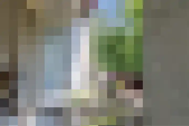 Arubalaan 64 B Amersfoort thumbnail 11