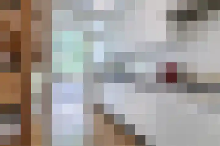 Arubalaan 64 B Amersfoort thumbnail 16
