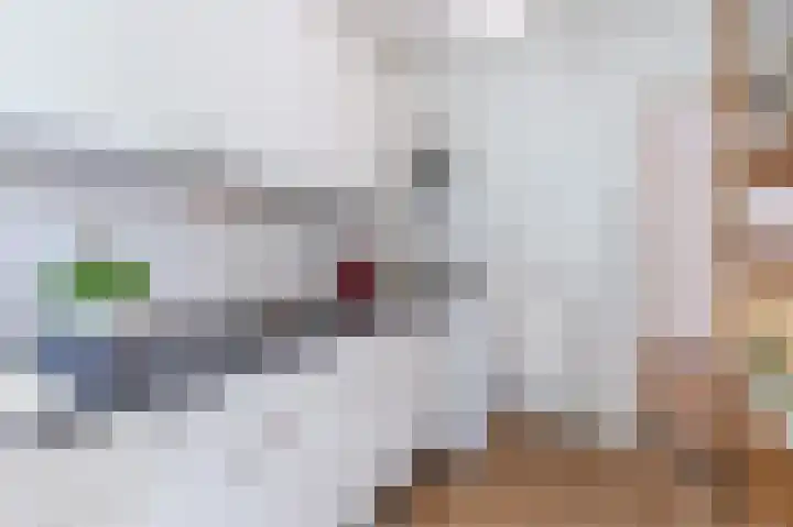 Arubalaan 64 B Amersfoort thumbnail 17