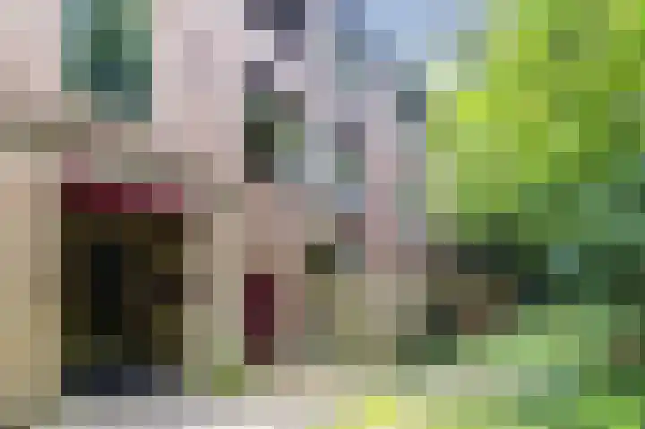 Arubalaan 64 B Amersfoort thumbnail 23