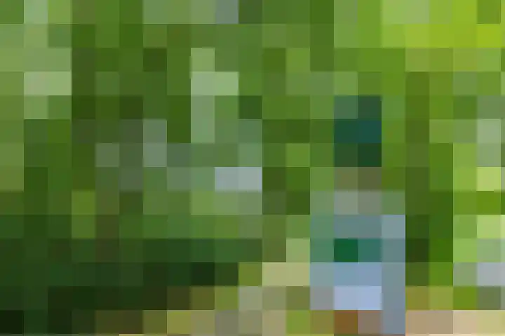 Arubalaan 64 B Amersfoort thumbnail 26