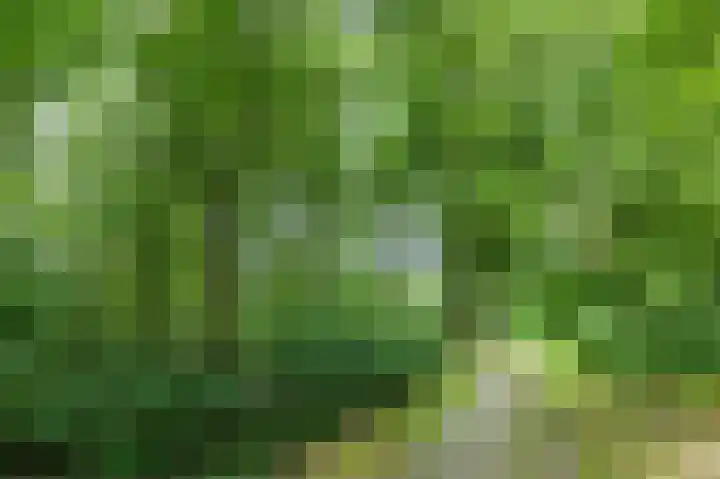 Arubalaan 64 B Amersfoort thumbnail 27
