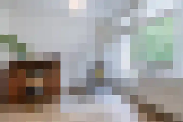 Arubalaan 64 B Amersfoort thumbnail 7