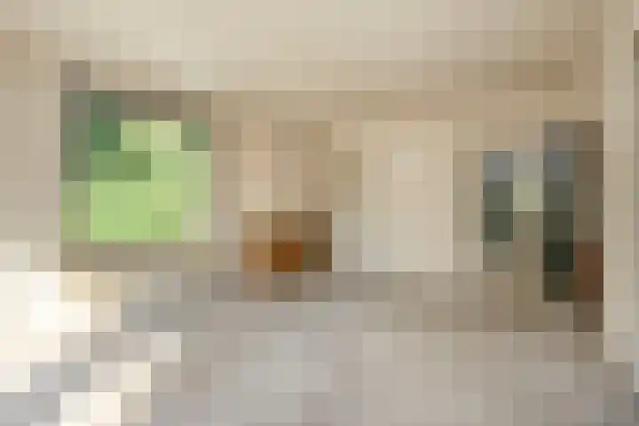 Arubalaan 64 C Amersfoort thumbnail 11