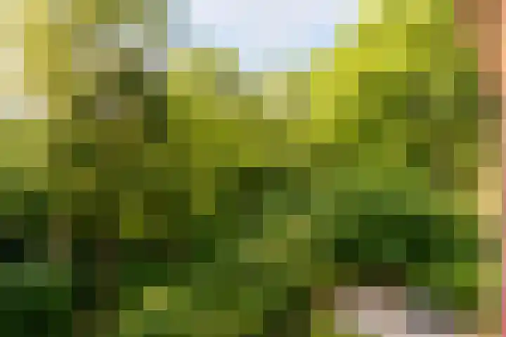 Arubalaan 64 C Amersfoort thumbnail 13