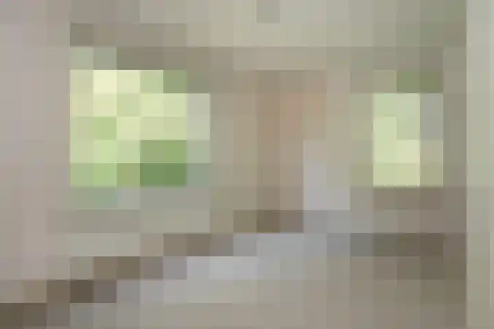 Arubalaan 64 C Amersfoort thumbnail 19