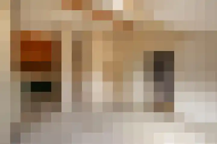 Arubalaan 64 C Amersfoort thumbnail 26
